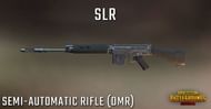 SLR (Image: zilliongamer)